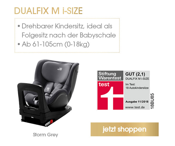Britax Römer Kindersitz Dualfix M i-Size Storm Grey 